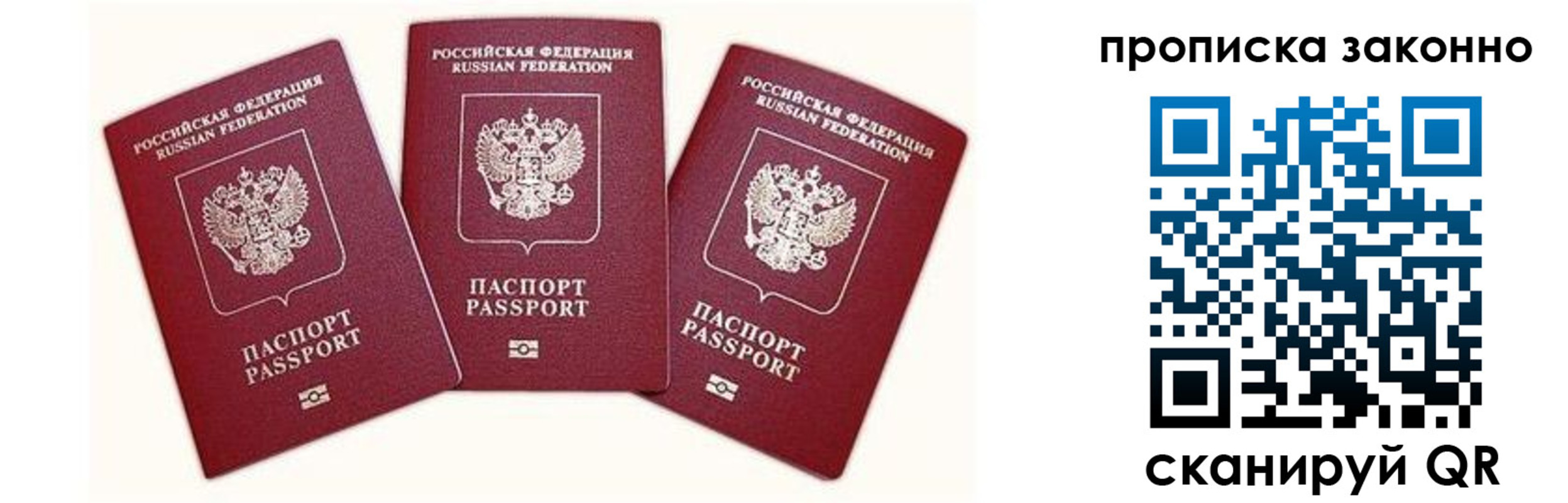 прописка законно в Камышлове