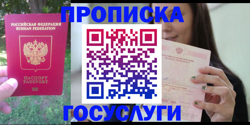 прописка паспорт в Камышлове
